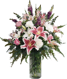 bloemen Pictures, Images and Photos