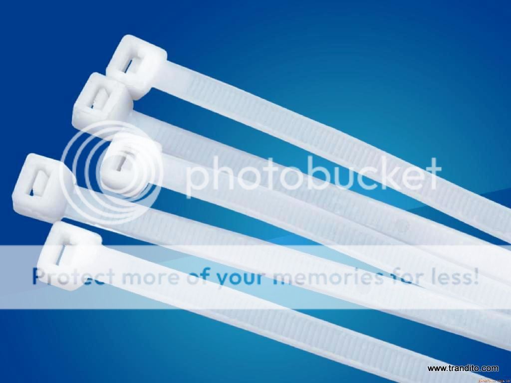 TaoWebTronGoi.Com. Thiết kế web Hơn 300 giao diện cực đẹp. Giá chỉ bằng 3 ly cafe !