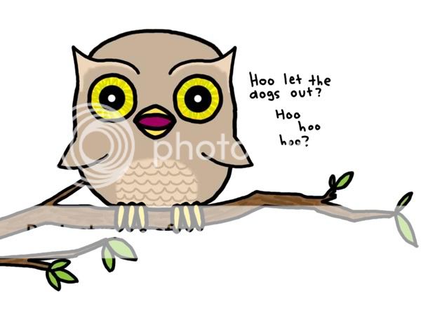 who? Pictures, Images and Photos