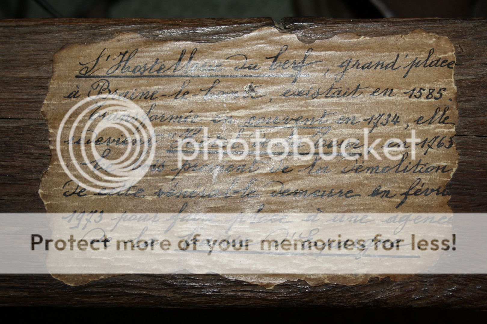 photo TIMBER1 .jpg