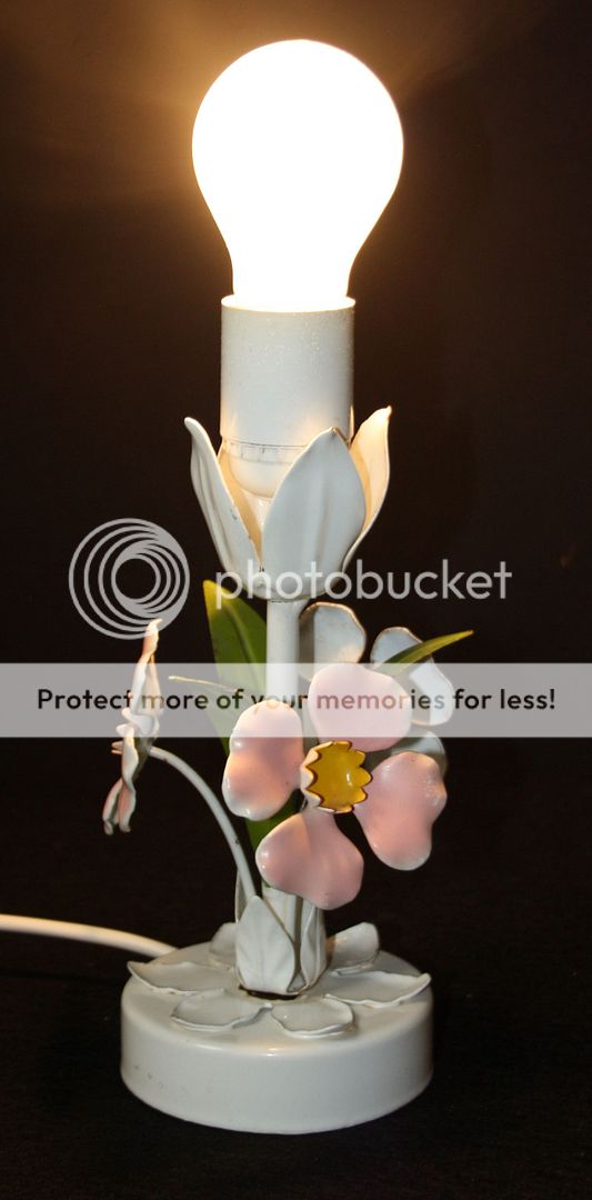 photo tlamp1nv20.jpg