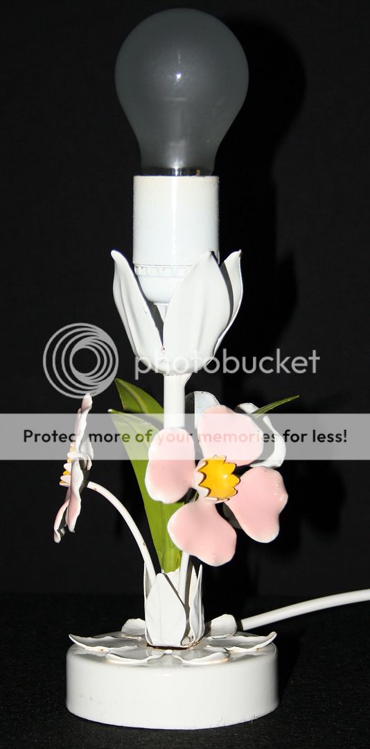 photo tlamp1nv20.jpg