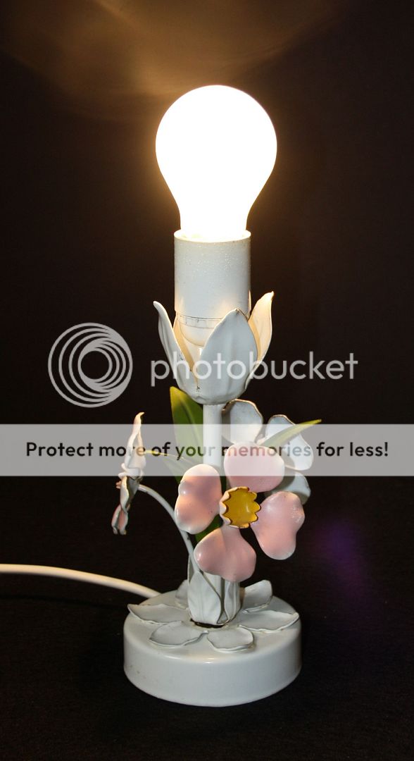 photo tlamp1nv20.jpg
