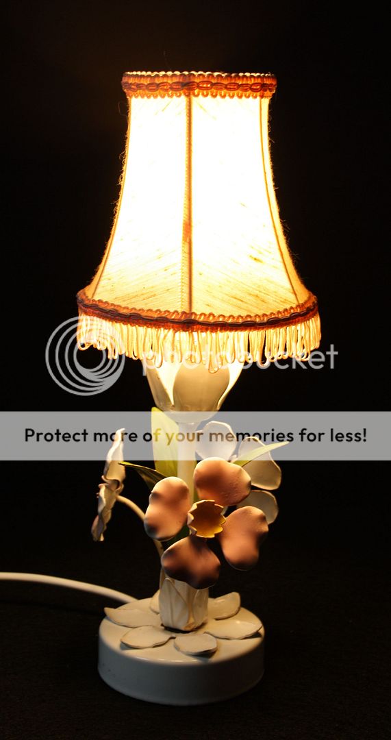 photo tlamp1nv20.jpg