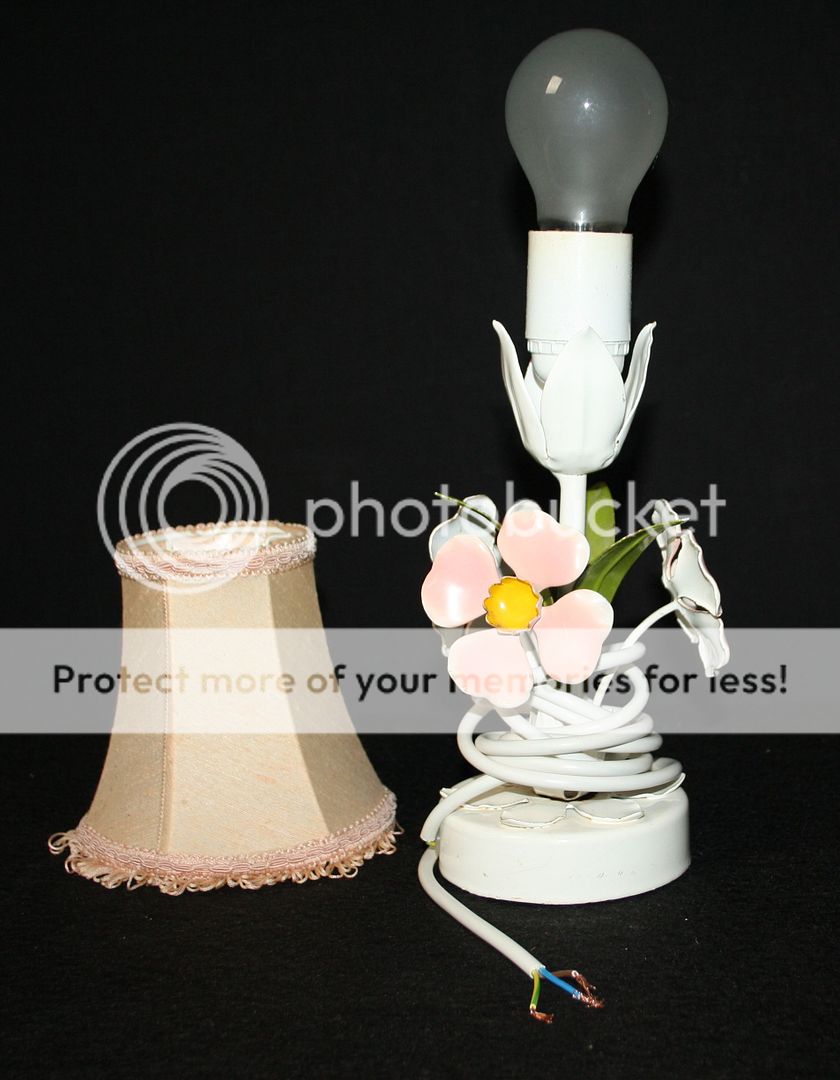 photo tlamp1nv20.jpg