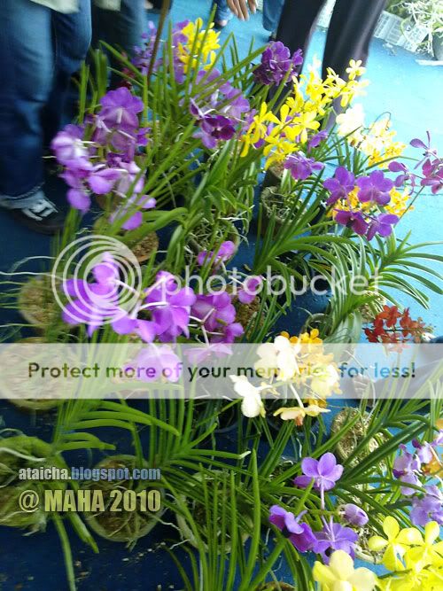 http://i426.photobucket.com/albums/pp344/wansu/04122010114.jpg