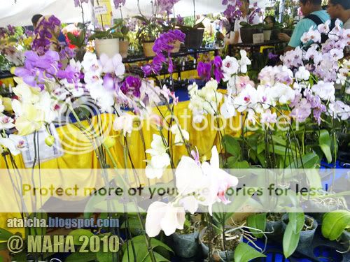 http://i426.photobucket.com/albums/pp344/wansu/04122010115.jpg