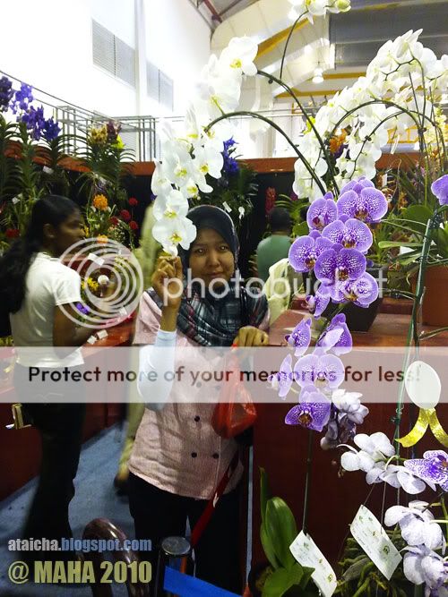 http://i426.photobucket.com/albums/pp344/wansu/04122010125.jpg