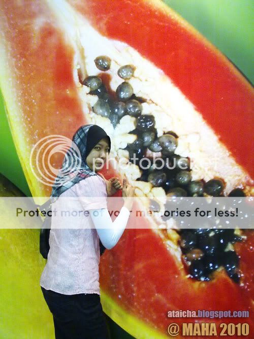 http://i426.photobucket.com/albums/pp344/wansu/04122010149.jpg