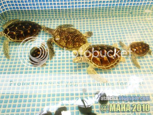 http://i426.photobucket.com/albums/pp344/wansu/04122010158.jpg