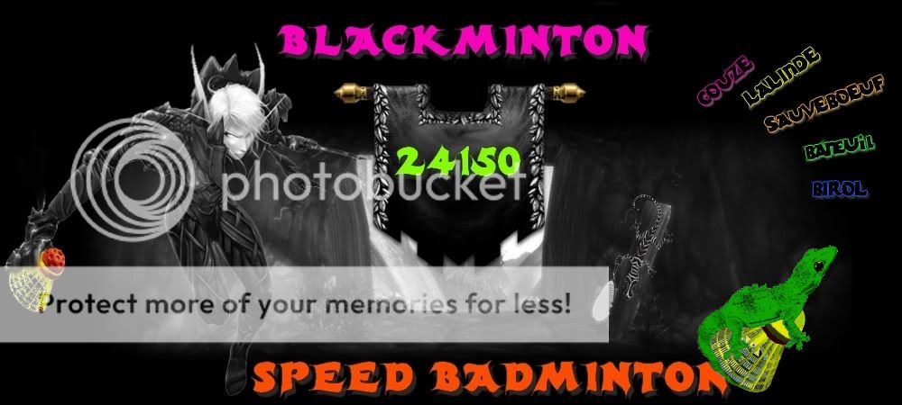 SPEEDBADMINTON 24150