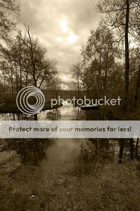 Fotografie