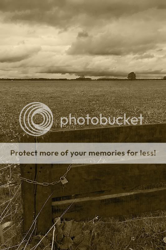 Fotografie