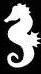 2.jpg seahorse image by violent_dawn